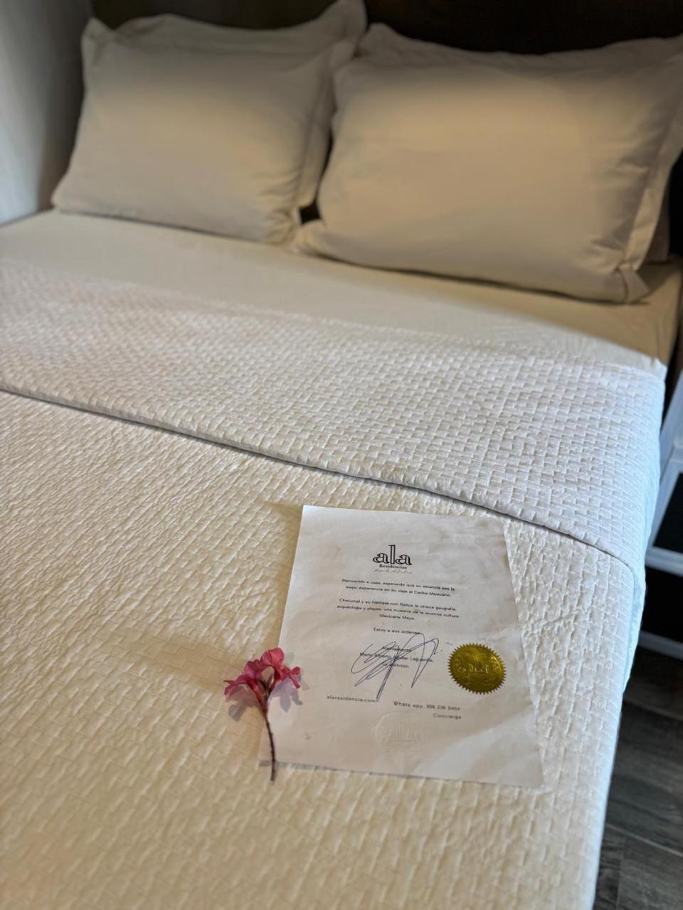 Hotel "Ala Residencias" Chetumal Exteriér fotografie